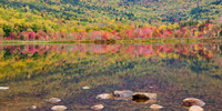 Basin Pond