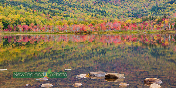 Basin Pond