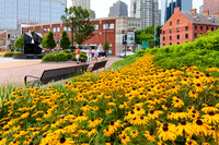 Kennedy Greenway