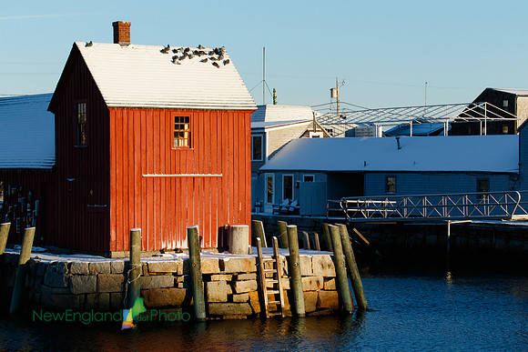 Motif #1 (winter)