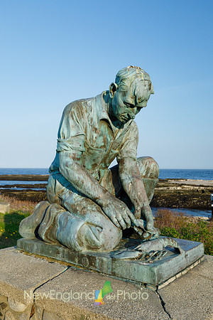 The Maine Lobsterman