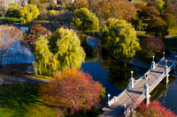 Boston Public Garden