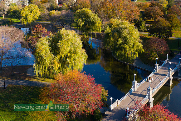 Boston Public Garden
