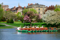 Boston Public Garden