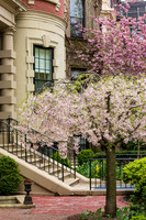 Backbay