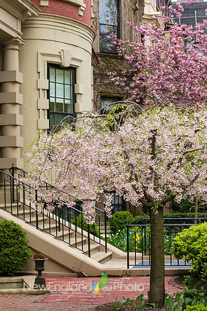 Backbay
