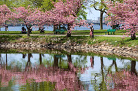 Charles River Esplanade