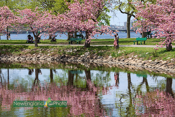Charles River Esplanade