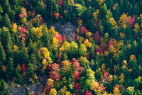 Autumn foliage, white mountains