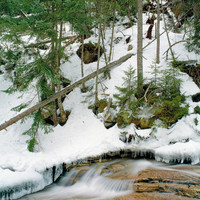 White Mountains