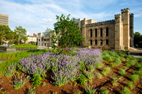 Wadsworth Atheneum Museum of Art