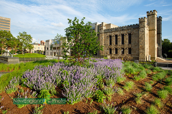 Wadsworth Atheneum Museum of Art