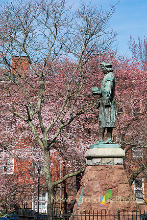 Wooster Square