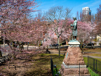 Wooster Square
