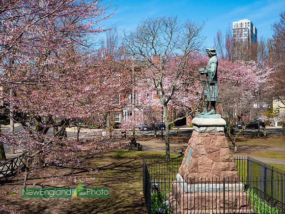 Wooster Square