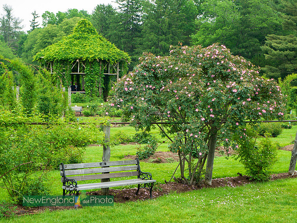 Elizabeth Gardens