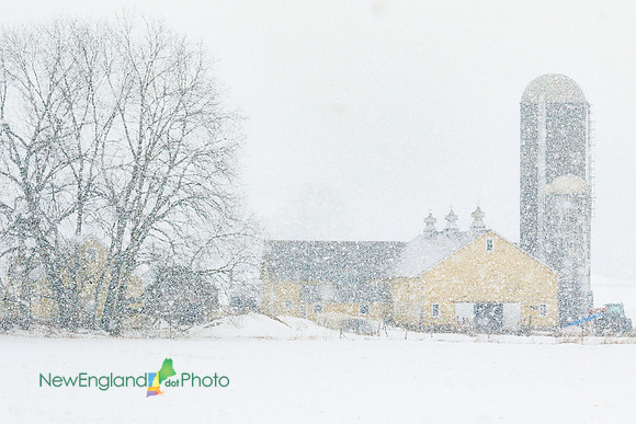 Farm during snowstorm