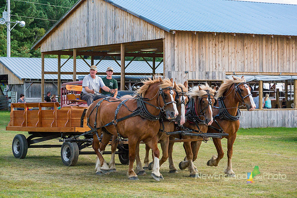 Franklin County Field Days