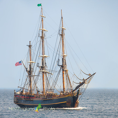 HMS Bounty at Gloucester Harbor