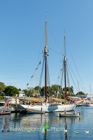 Camden Harbor