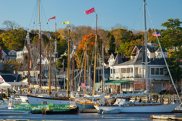 Camden Harbor