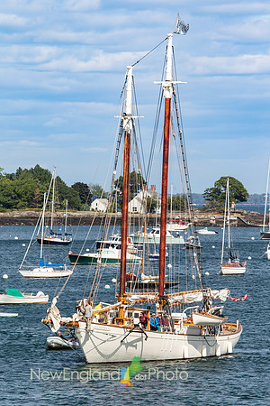 Schooner at Camden Harbor