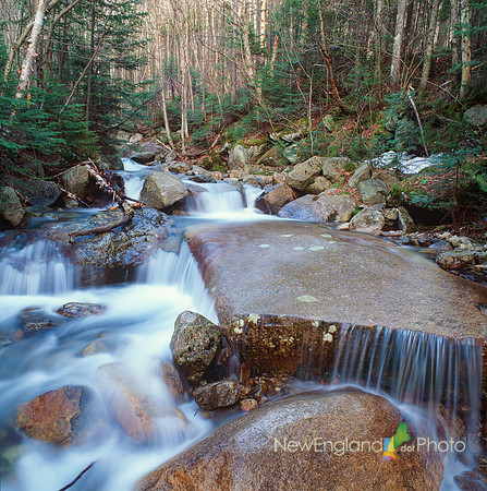 Walker Brook / Franconia Notch