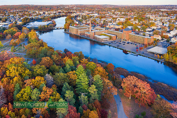 Waltham (autumn)