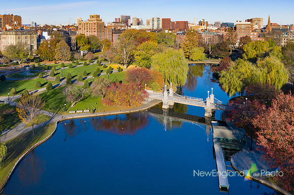 Boston Public Garden