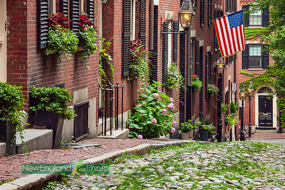 Acorn Street