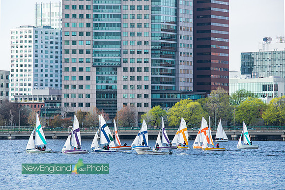 Charles River, Cambridge