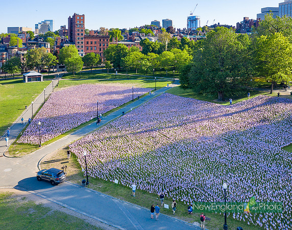 37,000 flags / Boston