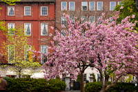 Beacon Hill