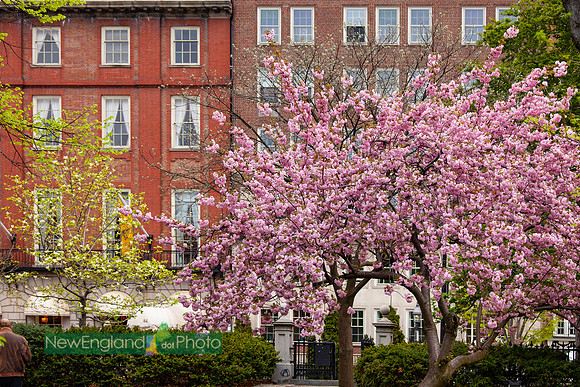 Beacon Hill